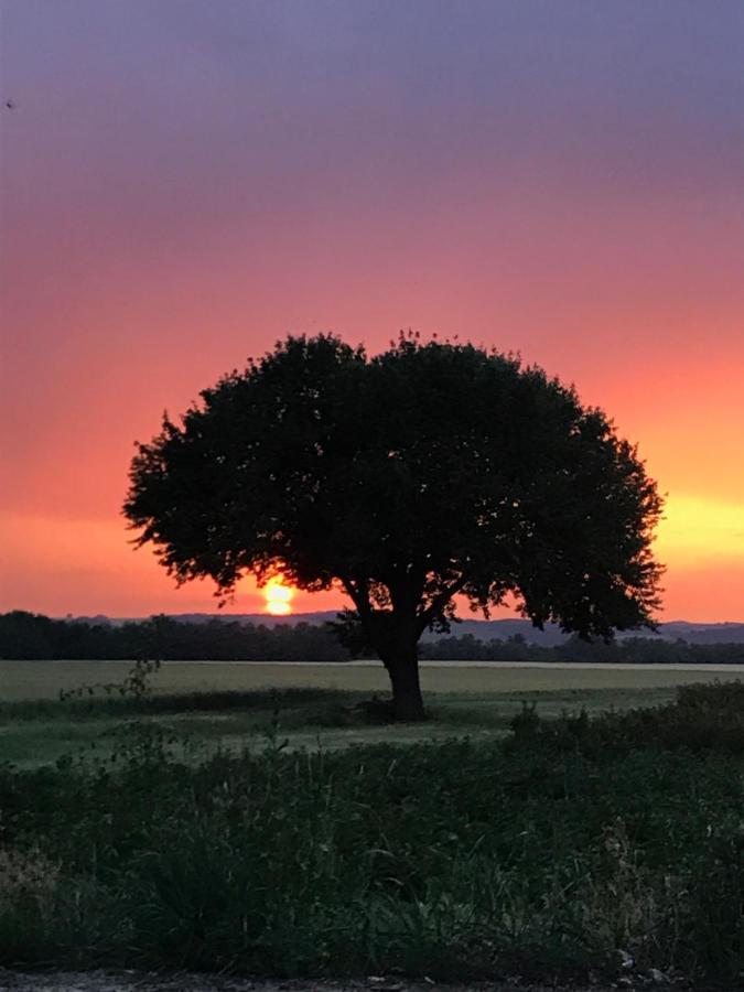 Korona Panzió Blh nad Iplom Exterior foto